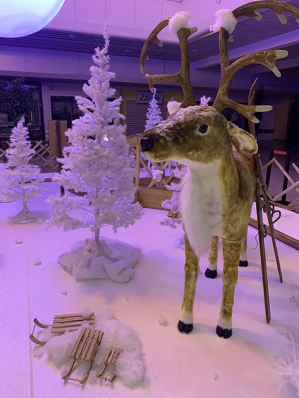 Animation centre commerciaux Agence evenementielle Momento Event 9