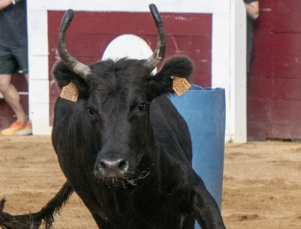 Team Building Little Worker agence evenementielle 2