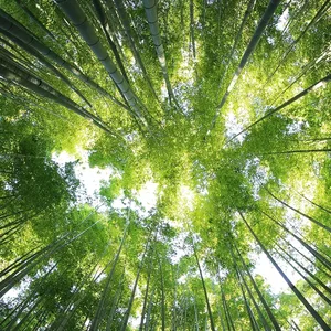 RSE Agence Evenementielle Toulouse 0